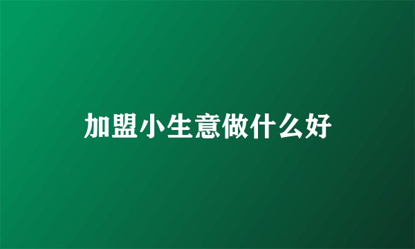 加盟小生意做什么好
