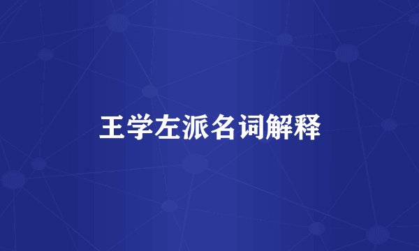 王学左派名词解释