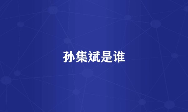 孙集斌是谁