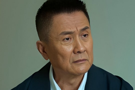 人大主任剧情解析