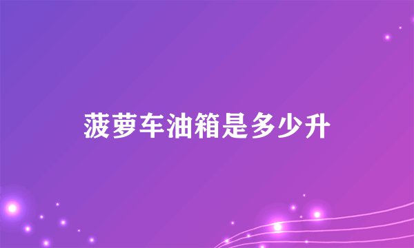 菠萝车油箱是多少升
