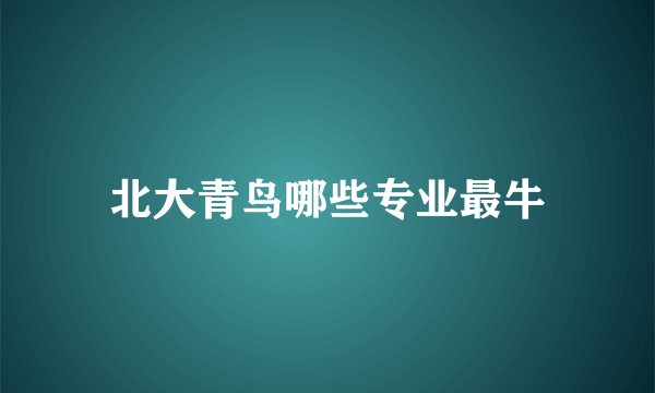 北大青鸟哪些专业最牛