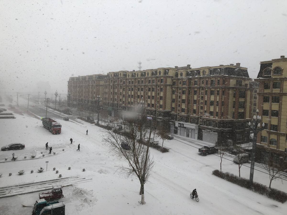 本次袭击东北的这场特大暴风雪,到底极端到了什么程度?