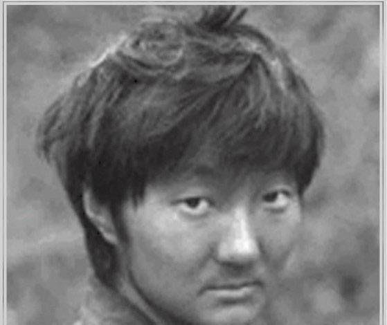 我的团长我的团『人物表』