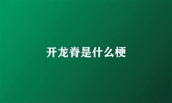开龙脊是什么梗