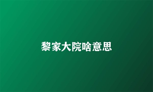 黎家大院啥意思