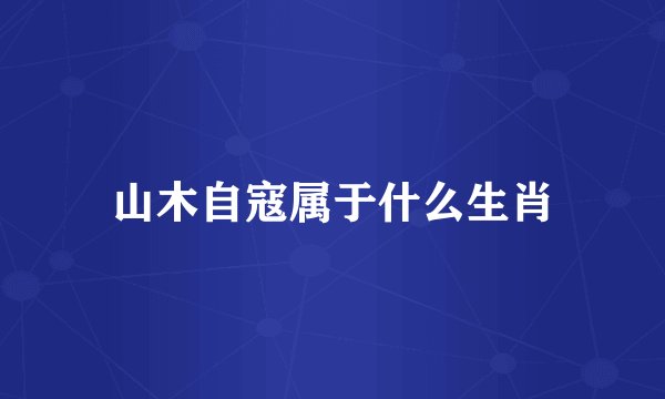 山木自寇属于什么生肖