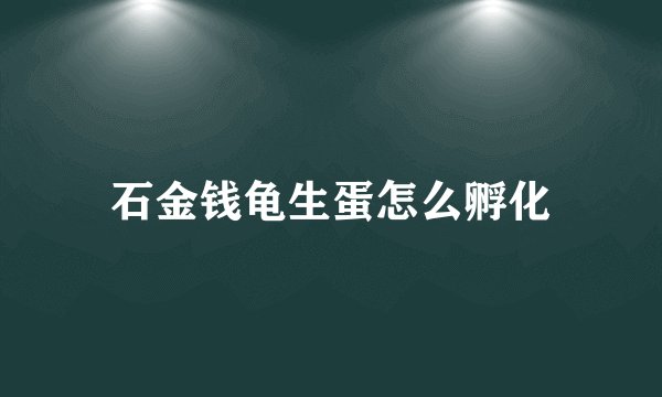 石金钱龟生蛋怎么孵化