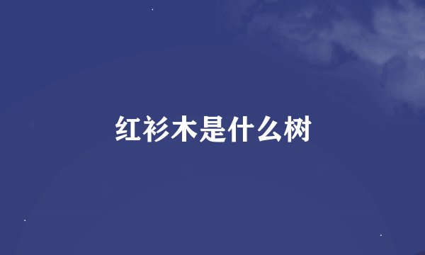 红衫木是什么树