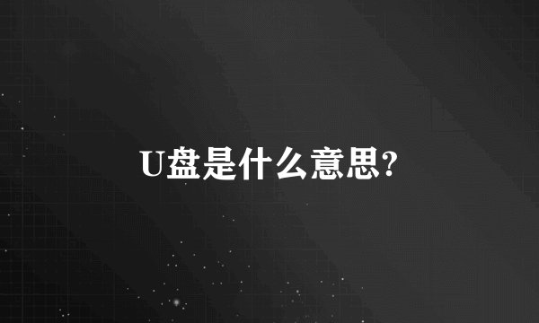 U盘是什么意思?