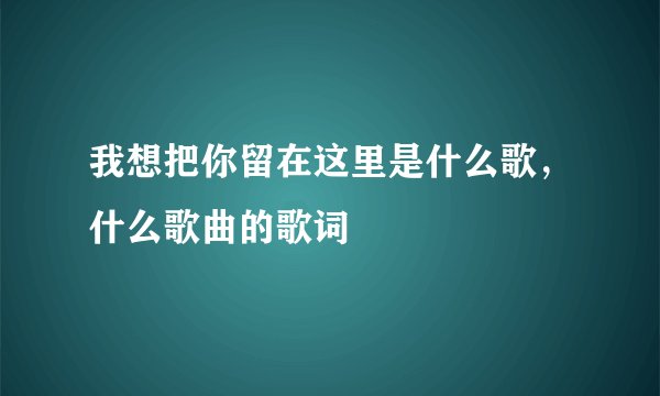 我想把你留在这里是什么歌，什么歌曲的歌词