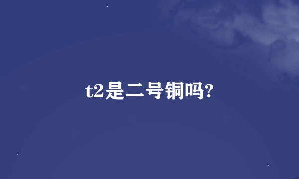 t2是二号铜吗?