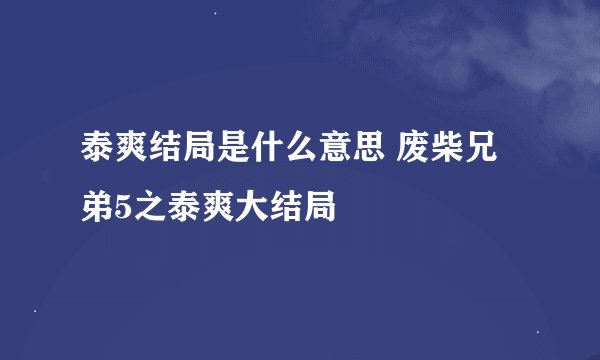 泰爽结局是什么意思 废柴兄弟5之泰爽大结局