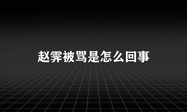 赵霁被骂是怎么回事