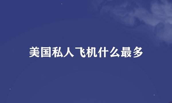 美国私人飞机什么最多