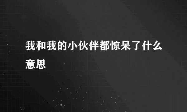 我和我的小伙伴都惊呆了什么意思