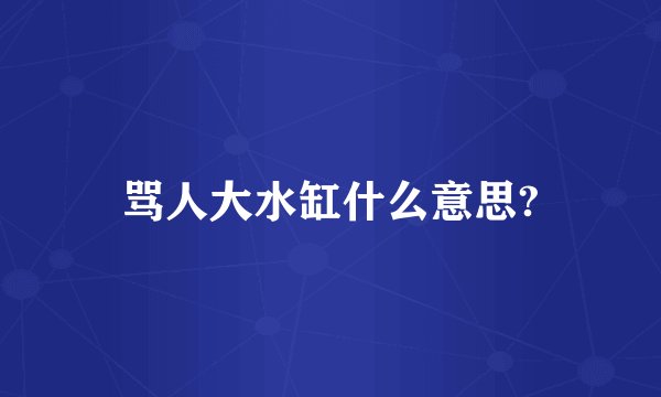 骂人大水缸什么意思?
