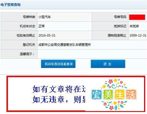 成都怎么网上查违章