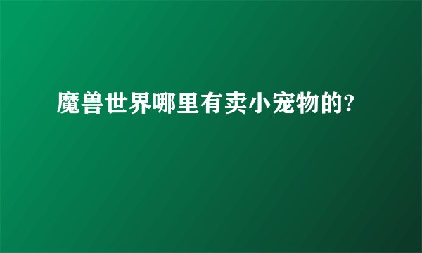 魔兽世界哪里有卖小宠物的?