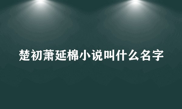 楚初萧延棉小说叫什么名字