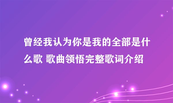 曾经我认为你是我的全部是什么歌 歌曲领悟完整歌词介绍