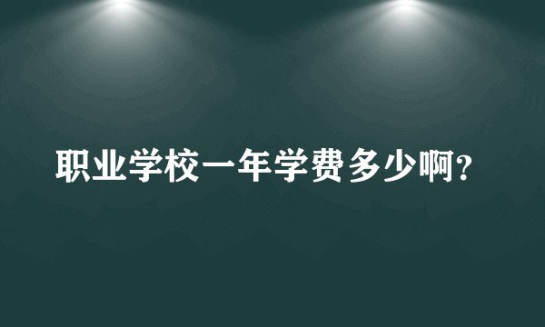职业学校一年学费多少啊？