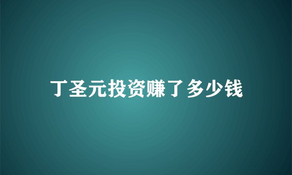 丁圣元投资赚了多少钱