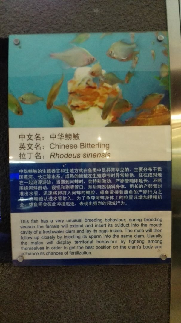 上海海水族馆门票多少钱