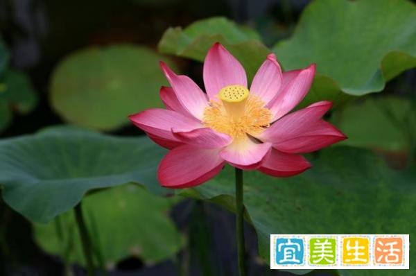 真正的聪明人，都会“留一手”