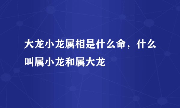 大龙小龙属相是什么命，什么叫属小龙和属大龙