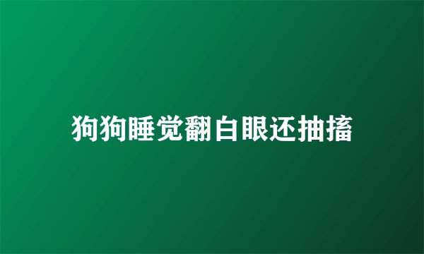 狗狗睡觉翻白眼还抽搐