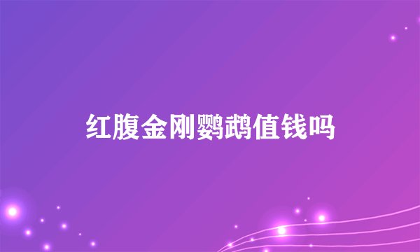 红腹金刚鹦鹉值钱吗