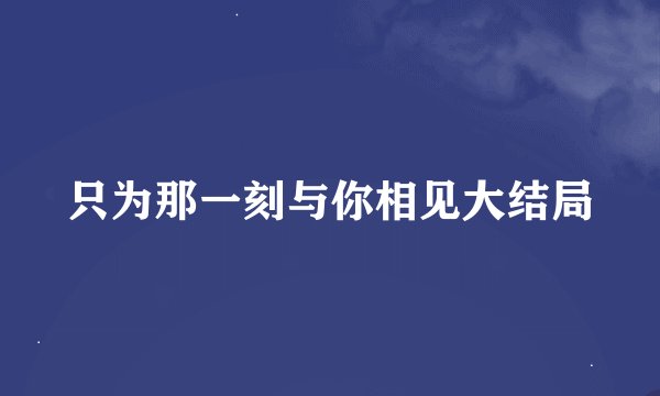 只为那一刻与你相见大结局
