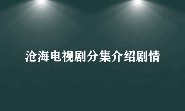 沧海电视剧分集介绍剧情