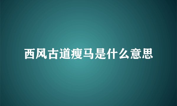 西风古道瘦马是什么意思