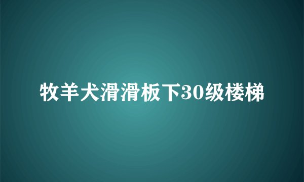 牧羊犬滑滑板下30级楼梯