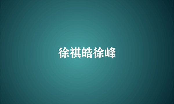 徐祺皓徐峰