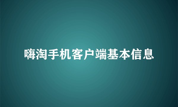 嗨淘手机客户端基本信息