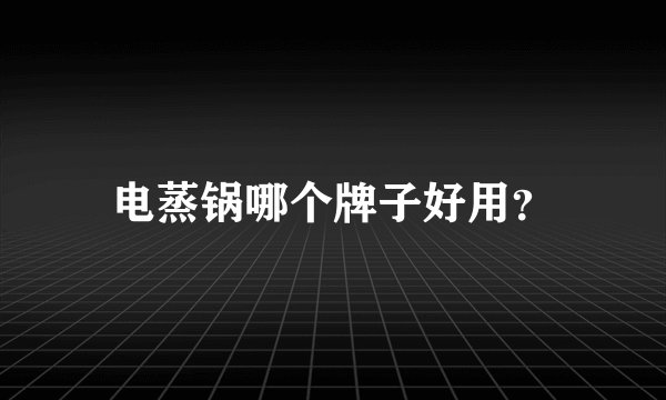 电蒸锅哪个牌子好用？