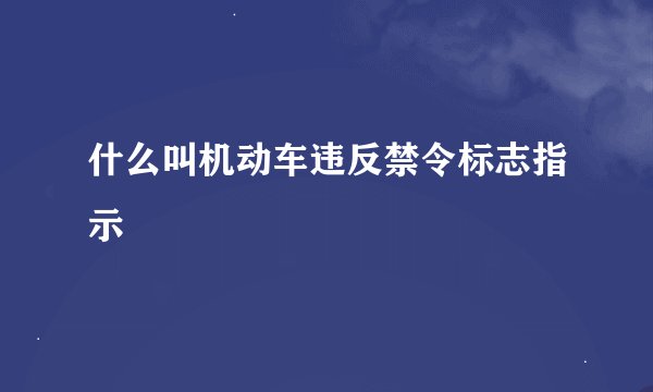 什么叫机动车违反禁令标志指示