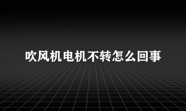吹风机电机不转怎么回事
