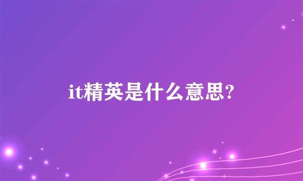 it精英是什么意思?