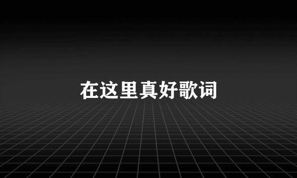 在这里真好歌词