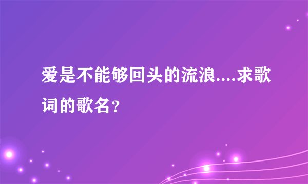 爱是不能够回头的流浪....求歌词的歌名？