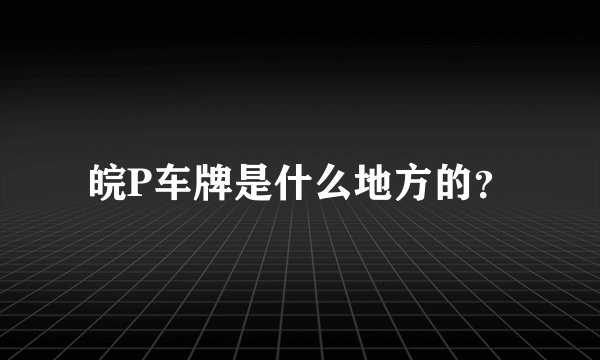 皖P车牌是什么地方的？