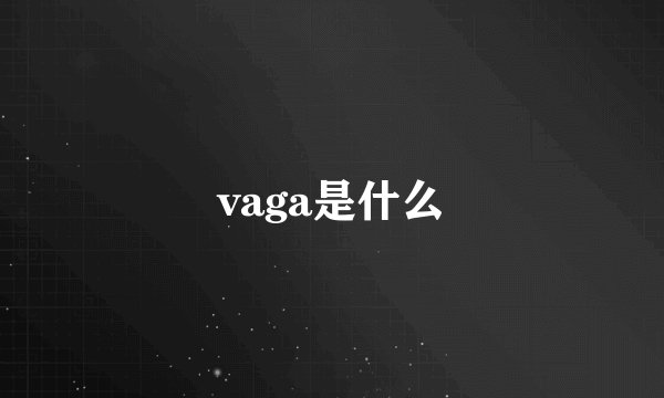 vaga是什么