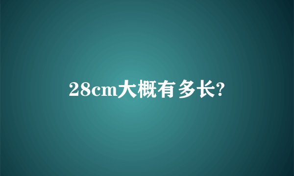 28cm大概有多长?