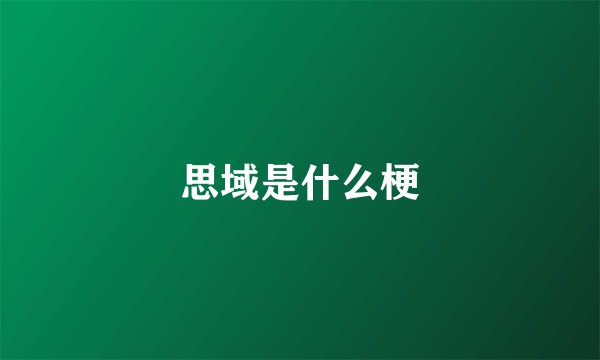 思域是什么梗