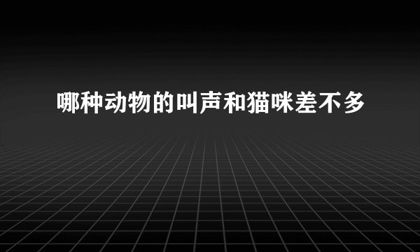 哪种动物的叫声和猫咪差不多