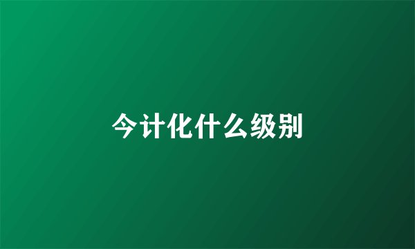 今计化什么级别